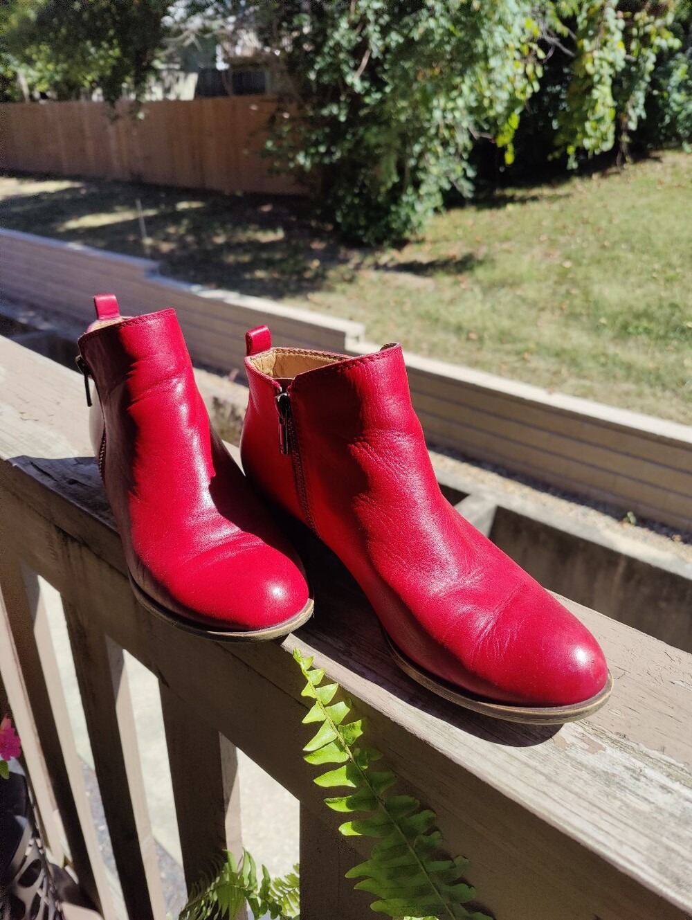 Women's Red Leather Ankle Boots - Zip Side Comfort 8 M Lucky Brand